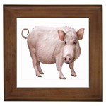 Pig Framed Tile