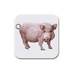 Pig Rubber Square Coaster (4 pack)