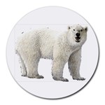 Polar Bear Round Mousepad