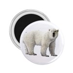 Polar Bear 2.25  Magnet