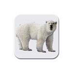 Polar Bear Rubber Square Coaster (4 pack)