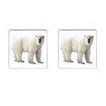 Polar Bear Cufflinks (Square)