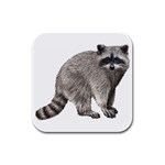 Raccoon Rubber Square Coaster (4 pack)