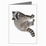 Raccoon Greeting Cards (Pkg of 8)