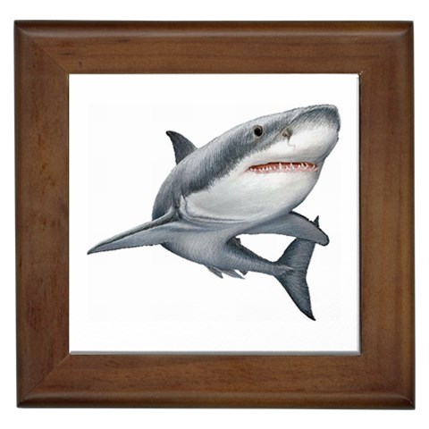 Shark Framed Tile from ArtsNow.com Front