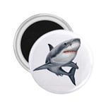 Shark 2.25  Magnet