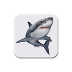 Shark Rubber Square Coaster (4 pack)