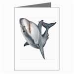 Shark Greeting Cards (Pkg of 8)