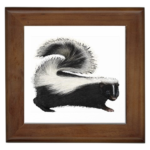 Skunk Framed Tile from ArtsNow.com Front