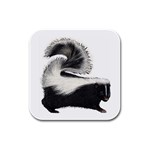 Skunk Rubber Square Coaster (4 pack)