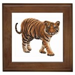 Tiger Framed Tile