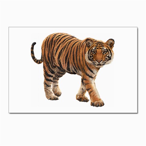 Tiger Postcards 5  x 7  (Pkg of 10) from ArtsNow.com Front