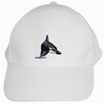 Killer Whale Orca White Cap