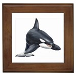 Killer Whale Orca Framed Tile