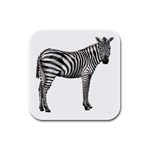 Zebra Rubber Square Coaster (4 pack)