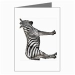 Zebra Greeting Cards (Pkg of 8)