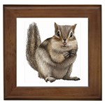 Chipmunk Framed Tile