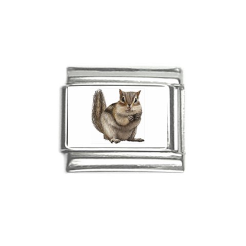 Chipmunk Italian Charm (9mm) from ArtsNow.com Front