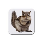 Chipmunk Rubber Square Coaster (4 pack)