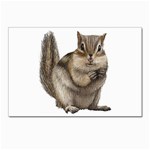 Chipmunk Postcards 5  x 7  (Pkg of 10)