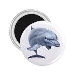 Dolphin 2.25  Magnet