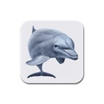 Dolphin Rubber Square Coaster (4 pack)