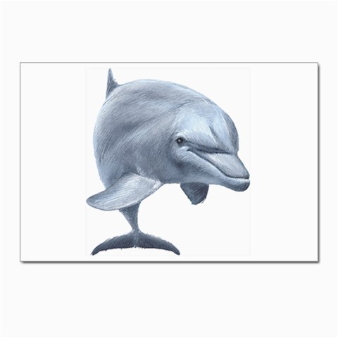 Dolphin Postcards 5  x 7  (Pkg of 10) from ArtsNow.com Front