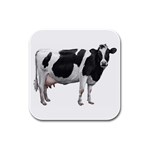 Cow Rubber Square Coaster (4 pack)