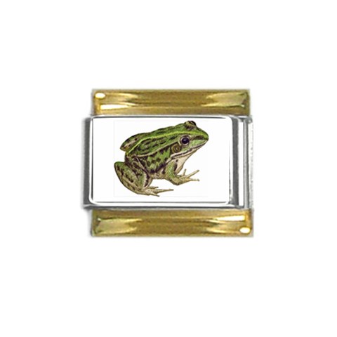 Frog Gold Trim Italian Charm (9mm) from ArtsNow.com Front