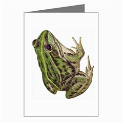 Frog Greeting Cards (Pkg of 8) from ArtsNow.com Left