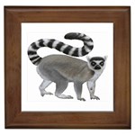 Lemur Framed Tile