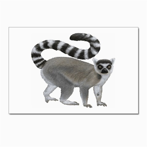 Lemur Postcards 5  x 7  (Pkg of 10) from ArtsNow.com Front