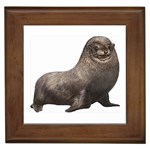 Seal Framed Tile