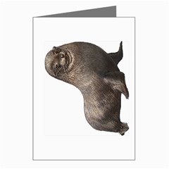 Seal Greeting Cards (Pkg of 8) from ArtsNow.com Left