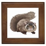 Squirrel Framed Tile