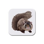 Squirrel Rubber Square Coaster (4 pack)