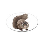 Squirrel Sticker (Oval)