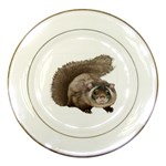 Squirrel Porcelain Plate