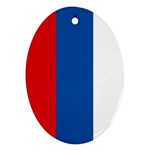 Russian Flag Russia Ornament (Oval)