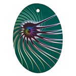 Flagellum Ornament (Oval)