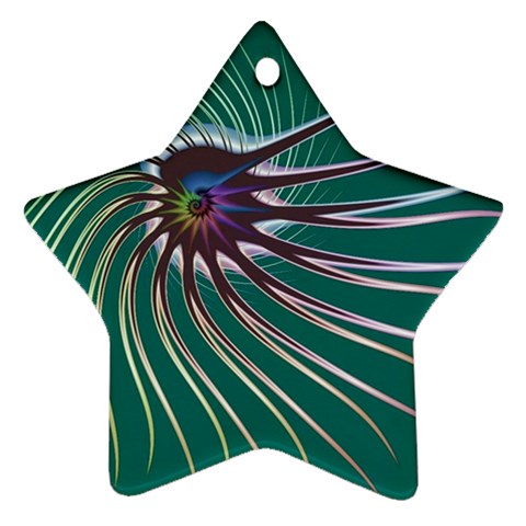 Flagellum Ornament (Star) from ArtsNow.com Front