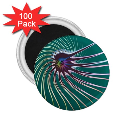 Flagellum 2.25  Magnet (100 pack)  from ArtsNow.com Front