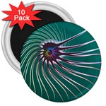 Flagellum 3  Magnet (10 pack)