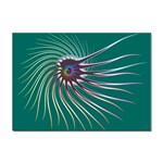 Flagellum Sticker A4 (10 pack)