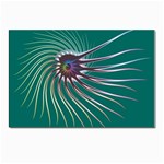 Flagellum Postcard 4 x 6  (Pkg of 10)