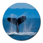 Humpback Whale Round Mousepad