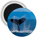 Humpback Whale 3  Magnet