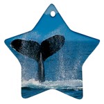 Humpback Whale Ornament (Star)