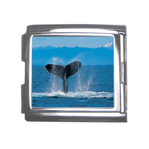 Humpback Whale Mega Link Italian Charm (18mm) from ArtsNow.com Front