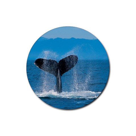 Humpback Whale Rubber Round Coaster (4 pack) from ArtsNow.com Front